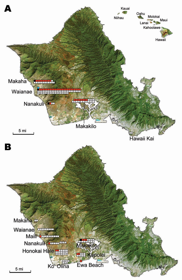Detection of Rickettsia typhi and R. felis DNA in Xenopsylla cheopis trapped in Oahu, Hawaii, in A) 2004 and B) 2006 and 2007. Hawaii is shown in the inset. Symbols correspond to sites of sample collection. White squares, collections in 2004 and 2006 of fleas negative for R. felis and R. typhi; white triangles, collections in 2007 of fleas negative for R. felis and R. typhi; red squares, fleas positive for R. felis; black squares, fleas positive for R. typhi; blue squares, fleas positive for both R. typhi and R. felis. Maps were obtained from www.hear.org/starr/maps/stock/landsat.htm