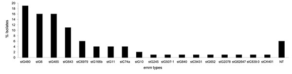 emm types of 138 Streptococcus dysgalactiae subsp. equisimilis bacteremic isolates obtained during 1995–2004, Finland. NT, nontypeable.