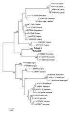 Thumbnail of Phylogenetic tree of nucleotide sequences of the complete hemagglutinin open reading frame (930 bp) of orthopoxviruses (OPVs) isolated from the 2 patients described in this report and additional poxviruses available in GenBank (cowpox: AY902279, AY902269, AF375085, AF377883, AF377886, AY902262, AY944028, Z99047, AY366477, AF377877, AF375087; taterapox: AF375093; camelpox: AY902250, DQ853384; horsepox: DQ792504; elephantpox: AF375090; vaccinia: AY902305, X91135, AF375078, AF375077; r