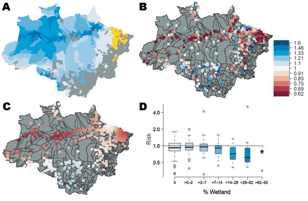 Connection of malaria incidence and precipitation risk ratios to wetlands. A) Percentage of wetlands in Amazon Basin counties (shades of blue), counties without wetlands data (yellow), and counties with &lt;80 total malaria cases (gray). Wetland colors correspond to percentage wetland values in panel D. B) Risk ratios for malaria incidence for 1 SD (≈14 cm) change in monthly precipitation (January 1996–December 1999), plotted at each county seat of government; C) spatially smoothed risk ratios f