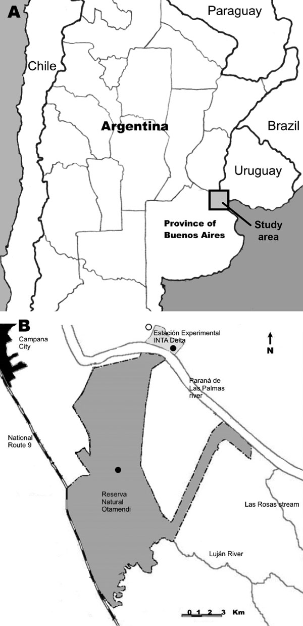 A) Location of study area in the lower Paraná River Delta of Argentina. B) Tick collection sites along the Paraná River (dark circles) and a recently reported case of eschar-associated rickettsiosis (open circle) identified by clinicians in Buenos Aires Province, Argentina (7).
