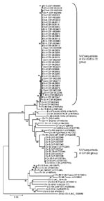 Thumbnail of Phylogenetic tree based on partial 5’ noncoding region sequences of enterovirus (EV) genome detected in cerebrospinal fluid samples from encephalitis patients. Specimens are identified by repository serial numbers obtained from the National Institute of Virology (NIV), Pune, India. GenBank accession nos. EU672893–EU762967 indicate the nucleotide sequences of EV strains of the present study. Scale bar indicates nucleotide substitutions per site. EV, enterovirus; CSF, cerebrospinal fl