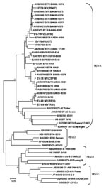 Thumbnail of Phylogenetic tree based on partial virion protein 1 (VP1) sequences (2602–2977) detected in enterovirus (EV) isolates and clinical specimens from encephalitis patients. GenBank accession nos. indicate the nucleotide sequences of EV strains of the present study. Scale bar indicates nucleotide substitutions per site. EV, enterovirus; CV-A, coxsackie virus A; CV-B, coxsackie virus B; HEV, human enterovirus; NIV, National Institute of Virology, Pune, India.