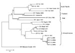 Thumbnail of Phylogram of dengue serotype 1 viruses (DENV-1) from Sri Lanka (SL), 1983–2004, and other DENV-1 viruses. The tree is based on a 498-bp fragment for positions 2056–2554 coding portions of envelope protein and nonstructural protein 1. Evolutionary history was inferred by using minimum evolution method (12). Percentages of replicate trees in which the associated taxa clustered in the bootstrap test (1,000 replicates) are shown next to the branches (13). Phylogenetic analyses were cond