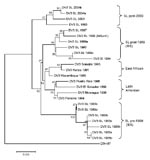 Thumbnail of Phylogram of dengue serotype 3 (DENV-3) genotype III viruses from Sri Lanka (SL), 1981–2004, and other DENV-3 genotype III viruses. The tree is based on a 966-bp fragment for positions 179–1144 coding for a portion of the capsid protein, all of the premembrane protein, and a portion of the envelope protein. The tree was constructed as described in Figure 4 and rooted by using a DENV-3 genotype I virus (H87). Naming of the different groups within DENV-3 genotype III is based on the r