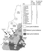 Thumbnail of Results of Ixodes scapularis tick sampling and pathogen screening in New Hampshire. County names are shown in bold and sampling sites across counties of low (white), medium (light gray), and high (dark gray) Lyme disease incidence are numbered. Dashed line indicates the leading edge of the expanding I. scapularis range. Arrows and black dots indicate cities referred to in the discussion. Numbered open circles identify the locations of the 16 sample sites.