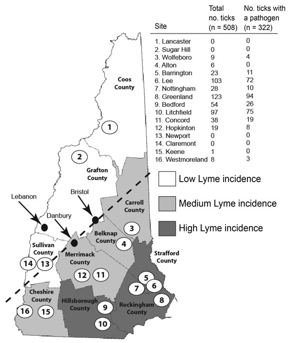 Results of Ixodes scapularis tick sampling and pathogen screening in New Hampshire. County names are shown in bold and sampling sites across counties of low (white), medium (light gray), and high (dark gray) Lyme disease incidence are numbered. Dashed line indicates the leading edge of the expanding I. scapularis range. Arrows and black dots indicate cities referred to in the discussion. Numbered open circles identify the locations of the 16 sample sites.