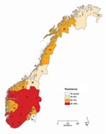 Thumbnail of Proportion of oseltamivir-resistant influenza viruses A (H1N1) in the 2007–08 influenza season in Norway, by county of sampling. The total number of samples analyzed for each county is given inside each county.
