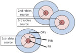 Thumbnail of Point infection control (PIC) tactic. Concentric rings around the location of a rabid animal represent vector population reduction (PR), trap–vaccinate–release (TVR), and ORV zones (12). Each new source leads to repeated, overlapping ORV, TVR, and PR rings. Potential savings are assumed within the zones and for assumed distances beyond the zones.