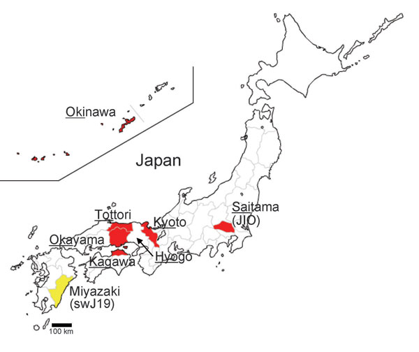 Map of Japan showing prefectures where human cases of hepatitis E virus have been found. Underlining indicates part of prefecture name included in isolate name; yellow indicates cases in swine; red indicates cases in humans.