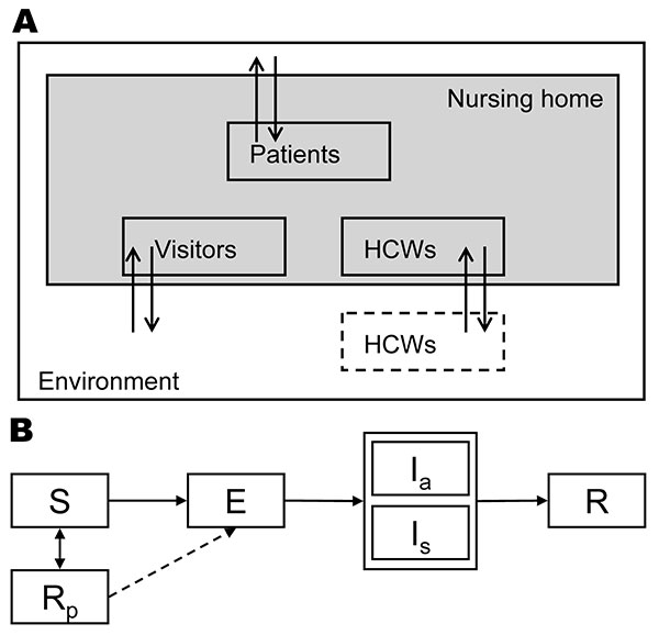 Schematic diagram of our stochastic individual-based model. A) The different types of persons in the nursing home: patients, healthcare workers (HCWs), and visitors. B) The time course of infection: S, susceptible; E, exposed; Ia, infectious and asymptomatic; Is, infectious and symptomatic; R, recovered/immune; Rp, immune while using prophylaxis. For all patients and HCWs in the model, we kept track of their stage in this infection cycle in time. If the influenza strain that is transmitted is re