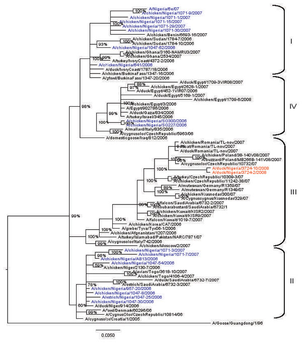 Phylogenetic tree constructed by Bayesian analysis of the hemagglutinin gene segment of representative influenza viruses A (H5N1) from Africa, Europe, and the Middle East. Taxon names of the Nigerian viruses isolated during 2006–2007 are marked in blue, 2008 isolates in red. Posterior probabilities of the clades are indicated above the nodes. Scale bar indicates number of nucleotide substitutions per site.