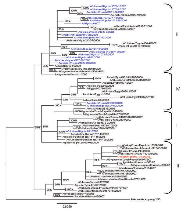 Phylogenetic tree constructed by Bayesian analysis of the neuraminidase gene segment of representative influenza viruses A (H5N1) from Africa, Europe, and the Middle East. Taxon names of the Nigerian viruses isolated during 2006–2007 are marked in blue, 2008 isolate in red. Posterior probabilities of the clades are indicated above the nodes. Scale bar indicates number of nucleotide substitutions per site.