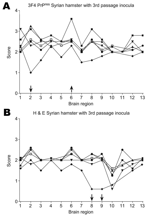 A) Proteinase K–resistant prion protein (PrPres) pathogenicity profiles in Syrian hamsters inoculated with third-passage PrPres. B) Hematoxylin and eosin (H&amp;E)–stained lesion profiles of Syrian hamsters inoculated with brain homogenate derived from third-passage hamsters. Each point represents the average from 6 different animals scored in the following areas: 1, cerebellum; 2, posterior colliculus; 3, superior colliculus; 4, brain stem; 5, spinal cord; 6, thalamus; 7, hypothalamus; 8, hippo