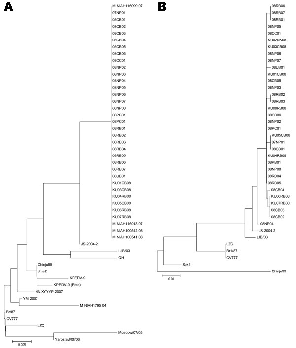 Phylogenetic trees generated on the basis of nucleotide of the M gene region (A) and the partial S gene region (B). Trees constructed with neighbor-joining method by using MEGA 3.1 (DNAStar Inc., Madison, WI, USA). Horizontal branch lengths are proportional to genetic distances between Porcine epidemic diarrhea virus (PEDV) strains.