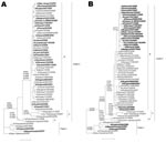 Thumbnail of Phylogenetic comparisons of the hemagglutinin (A) and neuraminidase (B) genes of influenza viruses A (H1N1). Sequences of oseltamivir-resistant viruses, possessing the H275Y (H274Y in N2 numbering) mutation are in boldface; vaccine strains are in italics. Common amino acid changes that distinguish clades 1 and 2 and subgroups of clade 2 are shown. Scale bars indicate 0.01 nucleotide substitutions per site.