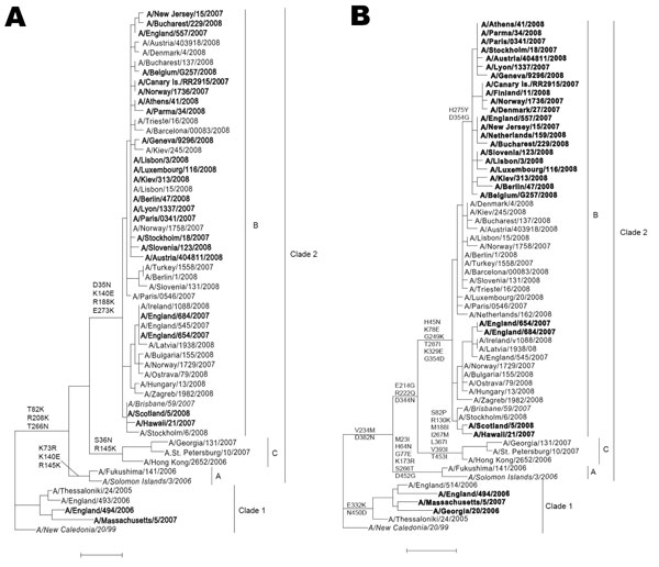 Phylogenetic comparisons of the hemagglutinin (A) and neuraminidase (B) genes of influenza viruses A (H1N1). Sequences of oseltamivir-resistant viruses, possessing the H275Y (H274Y in N2 numbering) mutation are in boldface; vaccine strains are in italics. Common amino acid changes that distinguish clades 1 and 2 and subgroups of clade 2 are shown. Scale bars indicate 0.01 nucleotide substitutions per site.