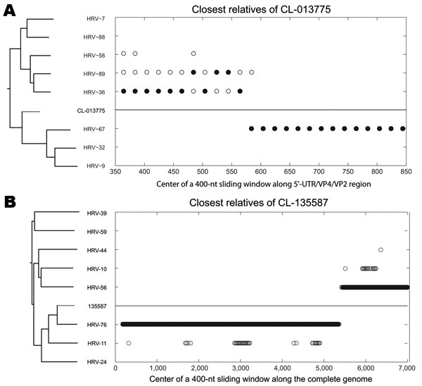 Nearest-neighbor relatedness of rhinovirus CL-013775 (and CL-073908) along the 5′ untranslated region/VP4/VP2 region (A), and nearest-neighbor relatedness of rhinovirus CL-135587 along the complete genome (B), identified by bootscanning. At each position of a sliding window, the solid circles indicate the closest relative within a defined threshold of the phylogenetic distance to CL-013775 (A) and CL-135587 (B). Both panels show phylogenetic trees of analyzed serotypes over the entire scanned re