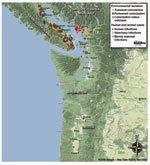 Thumbnail of Map of the Pacific Northwest, comprising parts of British Columbia, Canada, and the states of Washington and Oregon in the United States, showing human and veterinary Cryptococcus gattii cases (including marine mammals) by place of residence or detection, and locations of environmental isolation of C. gattii during 1999–2008 (strain NIH444 [Seattle] or CBS7750 [San Francisco] not included). Data were collected from various state health departments and published reports referenced in
