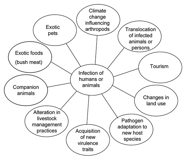 Factors influencing new and reemerging zoonoses.