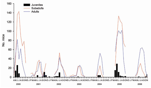 Population structure of Apodemus flavicollis in Dos Gaggio region of Trentino Alto-Adige, northern Italy, 2000–2006. Juveniles, &lt;1 month of age, gray pelage (fur), and weight &lt;15 g); subadults, weight &gt;15 g and not in breeding condition (undescended testes or imperforate vagina); adults, weight &gt;15 g and in breeding condition (descended testes or perforate vagina, visible nipples, or visibly pregnant). Gaps in the plots indicate that no trapping was conducted during these periods.