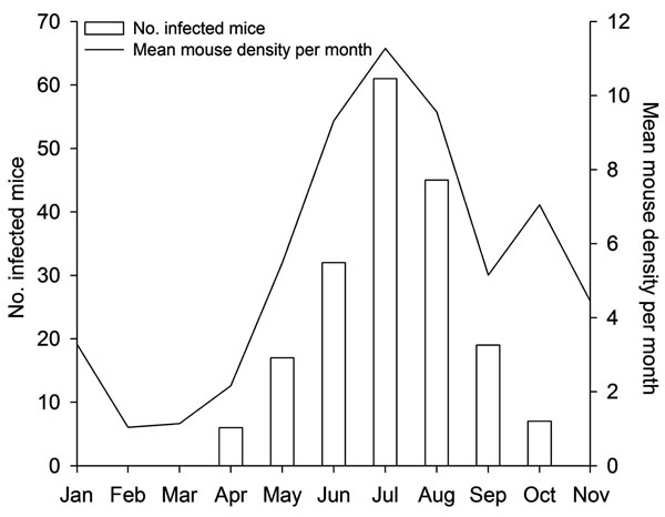 Monthly number of lymphocytic choriomeningitis virus–positive animals and mean rodent density per month (pooled data), northern Italy, 2000–2006.