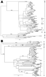 Thumbnail of Phylogenetic tree showing the relationship of hepatitis E virus (HEV) isolates from Hong Kong. Trees were constructed by the neighbor-joining method based on the partial nucleotide sequence of the open reading frame (ORF) 2 (A) and ORF1 (B) regions of HEV samples. Genotypes are indicated by numbers and subtypes by letters on the right. Branch lengths are proportional to genetic distance. Scale bars indicate 0.04 nt substitutions per position. Bootstrap values for the various branche