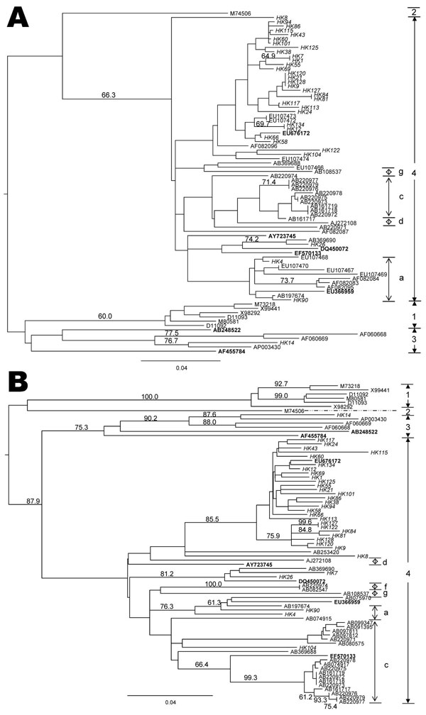 Phylogenetic tree showing the relationship of hepatitis E virus (HEV) isolates from Hong Kong. Trees were constructed by the neighbor-joining method based on the partial nucleotide sequence of the open reading frame (ORF) 2 (A) and ORF1 (B) regions of HEV samples. Genotypes are indicated by numbers and subtypes by letters on the right. Branch lengths are proportional to genetic distance. Scale bars indicate 0.04 nt substitutions per position. Bootstrap values for the various branches are shown a