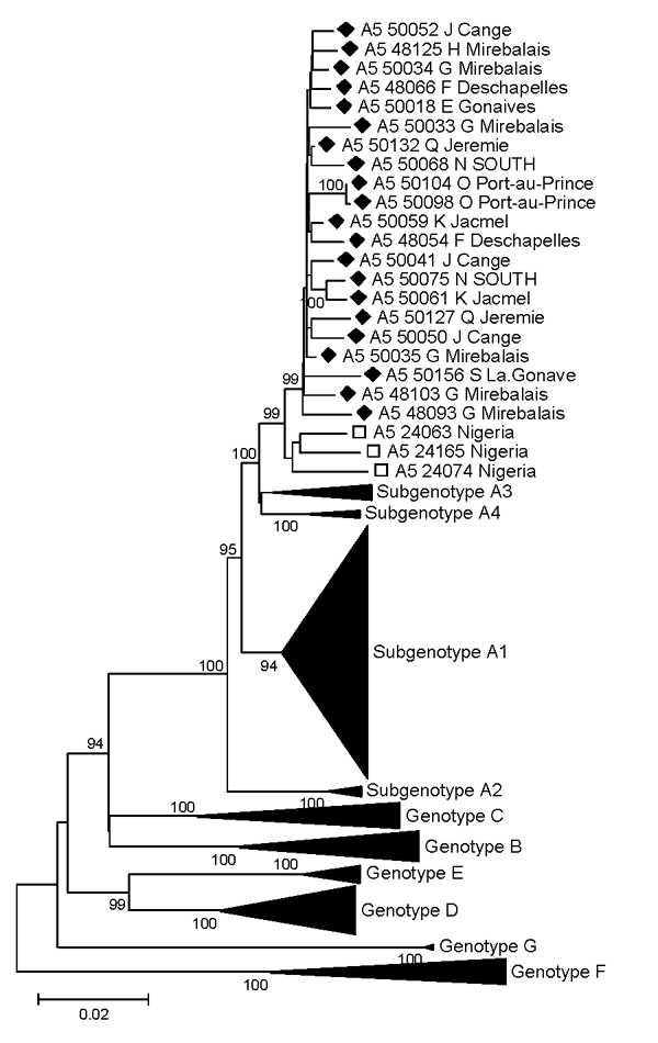 Phylogenetic analysis of selected sequences clustering with subgenotype A5, based on the complete genome. Diamonds indicate Haiti sequences; squares indicate Nigeria A5 strains. All complete A5 sequences available in GenBank are included. Scale bar indicates nucleotide substitutions per site.