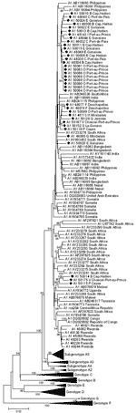 Thumbnail of Phylogenetic analysis of selected sequences clustering with subgenotype A1, based on the complete genome. Diamonds indicate Haiti sequences. All complete A1 sequences available in GenBank are included.