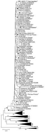 Thumbnail of Phylogenetic analysis of selected sequences clustering with genotype E, based on the S fragment, including potential mixed or recombinant strains (*). Diamonds indicate Haiti sequences.
