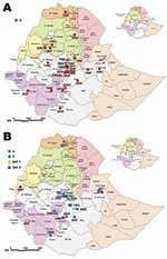 Thumbnail of Location of cases of various foot-and-mouth disease (FMD) virus serotypes in the outbreaks of FMD, Ethiopia, 1981–2007, as evidenced by laboratory diagnosis. A) Serotype O, B) serotypes A, C, Southern African Territories (SAT) 1, and SAT 2. All boundaries are approximate and unofficial. Original map produced by United Nations Emergencies Unit for Ethiopia, 2000.
