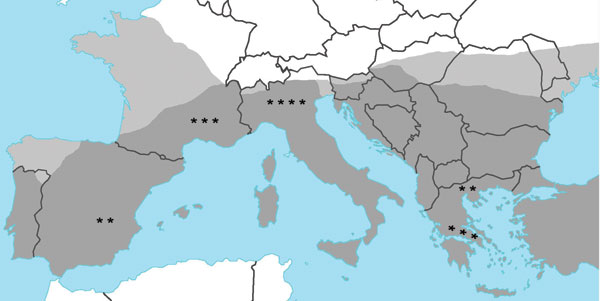 Reported cases of leishmaniasis in patients with autoimmune rheumatic diseases in Europe, indicated by stars (1 case from Israel not shown). Dark gray shading, distribution of leishmaniasis; light gray shading, distribution of leishmaniasis vector sandfly. Source: World Health Organization, 2004 (www.who.int/tdr/svc/publications/tdr-research-publications/swg-report-leishmaniasis).