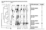 Thumbnail of Dendrogram of methicillin-resistant Staphylococcus aureus strains that colonized children admitted to the pediatric intensive care unit, The Johns Hopkins Hospital, Baltimore, MD, USA, 2007–2008. Isolates were characterized by pulsed-field gel electrophoresis (PFGE). Not all strains within a PFGE type had identical patterns, but strains were considered related with &lt;3 band differences; 66 isolates were analyzed. The number of isolates related to each PFGE type is listed. *Referen