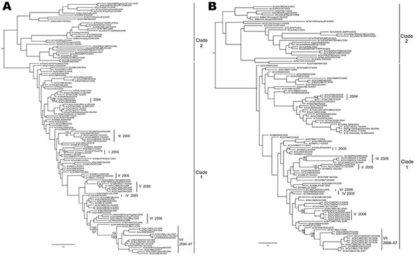 Phylogenetic relationships of the hemagluttinin (HA) (A) and neuraminidase (NA) (B) genes of 33 Cambodian strains and of representative influenza A viruses (H5N1). Trees were generated by Bayesian analysis using MrBayes v3.1 software (2). Numbers above and below branches indicate Bayesian posterior probability and maximum likelihood bootstrap values (PHYML v2.4 software, www.atgc-montpellier.fr/phyml), respectively. Analysis was based on nucleotides 28–1578 of the HA gene and 67 to 1248 of the N