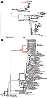 Thumbnail of A) Maximum-likelihood phylogenetic tree of 264 complete envelope gene sequences of dengue virus serotype 3 (DENV-3). The different genotypes of DENV-3 and the isolates from Bhutan (red) are indicated. Scale bar indicates number of substitutions per site. B) Magnification of the part of the phylogeny where the Bhutan sequences (red) fall. The tree is midpoint rooted for clarity only, and all horizontal branch lengths are drawn to a scale of nucleotide substitutions per site. Bootstra