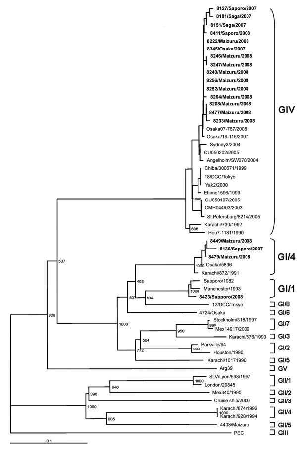Phylogenetic tree of nucleotide sequences of sapovirus (SaV) strains (shown in boldface). The tree was constructed from partial nucleotide sequences of the capsid region by using PEC strain (a porcine SaV) as an outgroup. The numbers on each branch indicate the bootstrap values. Scale bar indicates nucleotide substitutions per position. GenBank accession numbers of reference strains are as follows: Osaka07-767/08/JP (AB433785), Osaka/19-115/07/JP (AB327280), Sydney3/04/AU (DQ104357), CU050202/05