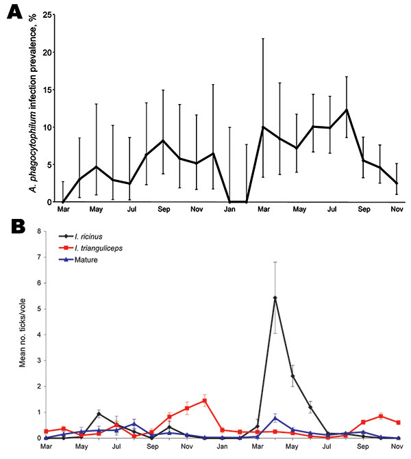 Prevalence of Anaplasma phagocytophilum infection in field voles (A) and of infestation of Ixodes ricinus tick larvae (black line), I. trianguliceps tick larvae (red line), and I. ricinus/I. trianguliceps adult females and nymphs (blue line) on field voles (B) during March 2004–November 2005. Error bars represent exact binomial 95% confidence intervals (A) or SEM (B).