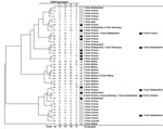 Thumbnail of Dendrogram constructed using the unweighted pair group method with arithmetic mean showing the phylogenetic diversity of 42 genotypes from the 78 Tropheryma whipplei strains detected in 18 healthy children (gray squares) in Senegal, 39 adults in whom Whipple disease was diagnosed (white squares), and 21 symptomatic carrier adults (including 11 sewer workers; black squares) from Europe. Phylogeny assembly was based on the sequences of 4 variable sequences, which were concatenated to
