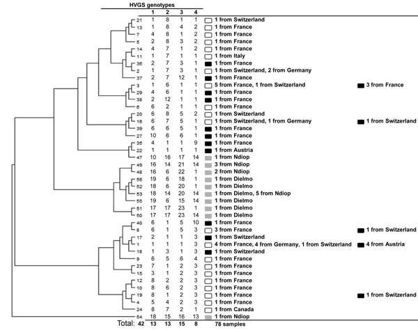 Dendrogram constructed using the unweighted pair group method with arithmetic mean showing the phylogenetic diversity of 42 genotypes from the 78 Tropheryma whipplei strains detected in 18 healthy children (gray squares) in Senegal, 39 adults in whom Whipple disease was diagnosed (white squares), and 21 symptomatic carrier adults (including 11 sewer workers; black squares) from Europe. Phylogeny assembly was based on the sequences of 4 variable sequences, which were concatenated to construct the