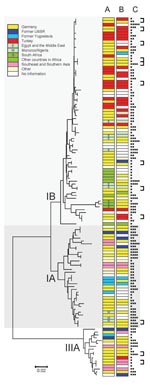 Thumbnail of Neighbor-joining phylogenetic tree of a 348-bp section of the viral capsid protein 1//2A junction region of hepatitis A virus (HAV) constructed by using the Kimura 2-parameter distance model. Place of infection (A), migration background (B), and age of case-patients (■, 0–9 y; ■■, 10–19 y; ■■■, 20–39 y; ■■■■, 40–59 y; ■■■■■, &gt;60 y) (C) are shown for each HAV isolate. Linked cases as judged by health departments are indicated by brackets. HAV subgenotypes are indicated by roman nu