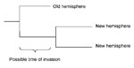 Thumbnail of Possible period of invasion from the old hemisphere to the new hemisphere shown in a schematic tree with 2 isolates from the new and 1 from the old hemisphere.