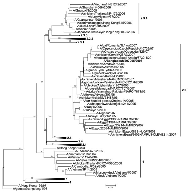 Phylogenetic tree of virus hemagglutinin sequences generated by neighbor-joining analysis. Bootstrap values at each node represent 1,000 replicates. Scale bar represents 0.005 nt substitutions. The virus found in the child, A/Bangladesh/207095/2008, is indicated in boldface.