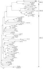 Thumbnail of Phylogenetic analysis of human rhinoviruses (HRVs) from Singapore based on nucleotide sequences of the 5′ noncoding region. The tree was constructed by using the neighbor-joining method with 1,000 bootstrapped replicates generated by MEGA version 4 software (9). Sequences (GenBank accession nos. FJ645828–FJ645771) of viruses from Singapore (SIN) are indicated, where the 2 numbers represent the year the specimen was collected, and NTU (Nanyang Technological University) followed by 3 numbers represents the specimen number. Representative strains of HRV-C are indicated by squares, HRV-B by circles, and HRV-A by triangles. RV indicates rhinovirus strains, followed by the serotype no. These sequences were obtained from the report by Lee et al. (3). Boldface indicates a cluster of 10 HRV-A strains that diverged from reference HRV-A strains. Scale bar indicates nucleotide substitutions per site.