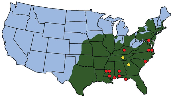Location of ticks, Rickettsia parkeri in ticks, and human cases of rickettsiosis in the United States. Green shading indicates approximate distribution of Amblyomma americanum ticks, which completely overlaps with the known or suspected distribution of A. maculatum. Yellow circles indicate locations where R. parkeri was detected in A. americanum ticks (this study). Red circles indicate locations of confirmed or suspected cases of R. parkeri infection in humans (11).