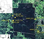 Thumbnail of Satellite image of collection sites of hantavirus RNA–positive rodents, including selected Juquitiba virus (circles) and Jaborá virus (triangles) samples, Paraguay, 2003–2007. Inset shows location of showing the study site in Paraguay. OLFO, Oligoryzomys fornesi; OLNI, O. nigripes; OLSP, Oligoryzomys sp.; AKMO, Akodon montensis.