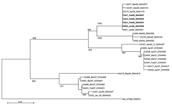 Phylogenetic tree based on viral protein (VP) 7 nucleotide sequences of serotype G1 rotavirus strains from Royal Liverpool Children’s National Health Service Foundation Trust (Alder Hey Hospital), Liverpool, UK. For each strain the source (healthcare-associated [HA] or community-acquired [CA]), specimen number, month/year of detection, and name of the strain is indicated. Reference G1P[8] strain Wa is included. Horizontal lengths are proportional to the genetic distance calculated with Kimura’s