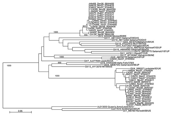 Phylogenetic tree based on 387 nucleotide sequences of the 5′ end of open reading frame 2 (encoding viral protein 1) of norovirus strains from Royal Liverpool Children’s National Health Service Foundation Trust (Alder Hey Hospital), Liverpool, UK. For each strain the source (healthcare-associated [HA] or community-acquired [CA]), specimen number, month/year of detection, and the name of the strain is indicated. Reference strains included on the tree are GII/1 U07611 Hawaii/71/US, GII/2 X81879 Me