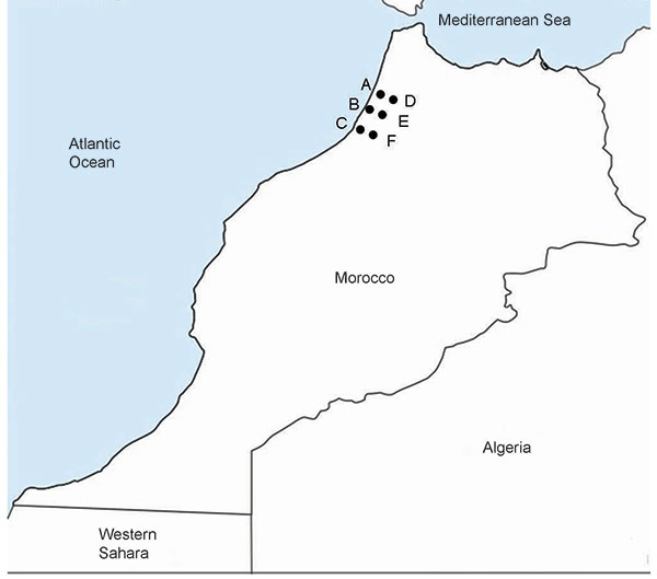 Locations in the Kenitra District of Morocco where tick-borne relapsing fever was diagnosed. A, Sidi Mohamed Lahmar; B, Had Ouled Jelloum; C, Idrissi Kenitra; D, Lalla Mimouna; E, Mnasra; F, Sidi Taybi.