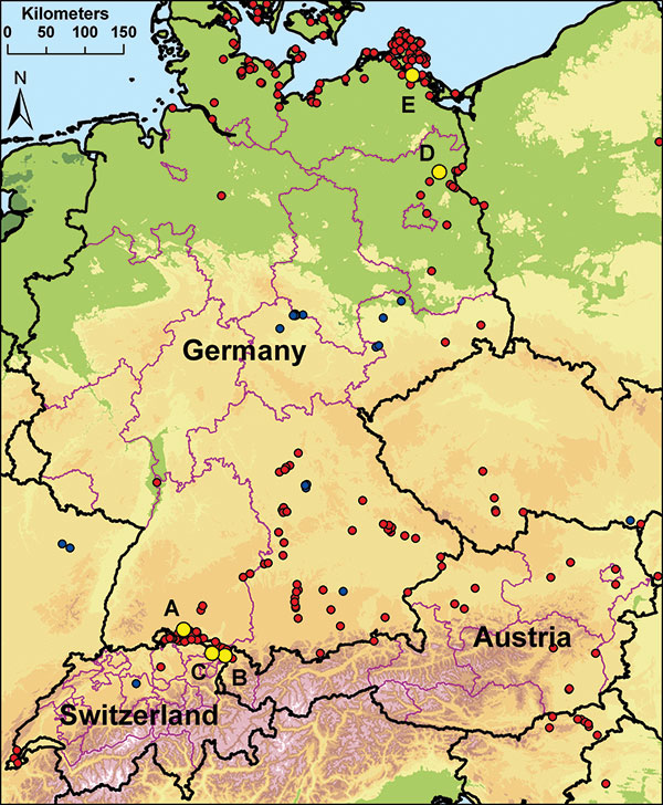 Locations of sentinel duck flocks at 5 locations in Germany, Switzerland, and Austria. A–C) Sites at Lake Constance: Radolfzell, Germany (A); Bregenz-Thal, Austria (B); and Altenrhein, Switzerland (C). D–E) Additional sentinel stations at Lake Felchow, Brandenburg, Germany (D), and Isle of Koos, Mecklenburg–Western Pomerania, Germany (E). Yellow dots mark the location of sentinel stations. Red dots mark detections of highly pathogenic avian influenza virus (HPAIV) (H5N1) in dead wild birds in 20